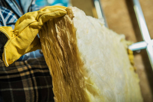 Best Geographic-Specific Insulation Services in Appleton, MN