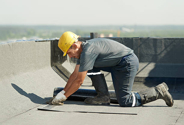Best DIY Insulation Kits and Guidance in Appleton, MN